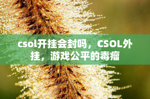 csol开挂会封吗图片