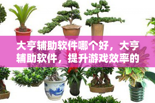 提升游戏效率的神秘工具图片