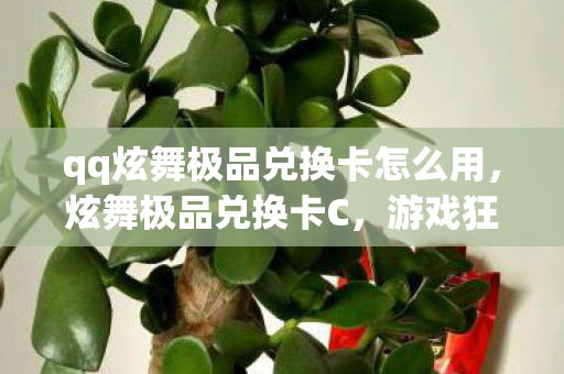 qq炫舞极品兑换卡怎么用，炫舞极品兑换卡C，游戏狂欢的独家福利