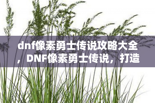 dnf像素勇士传说攻略大全图片