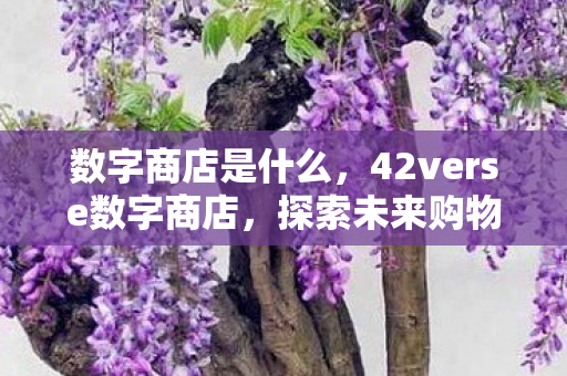 42verse数字商店图片