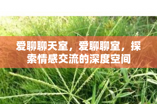 探索情感交流的深度空间图片