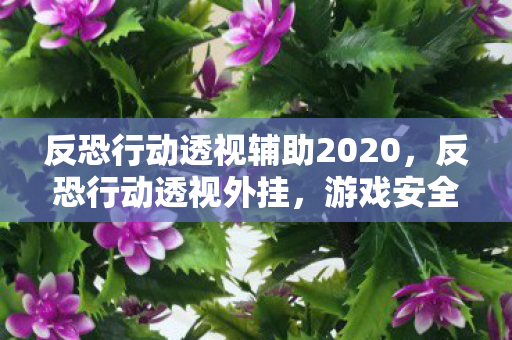 反恐行动透视辅助2020图片