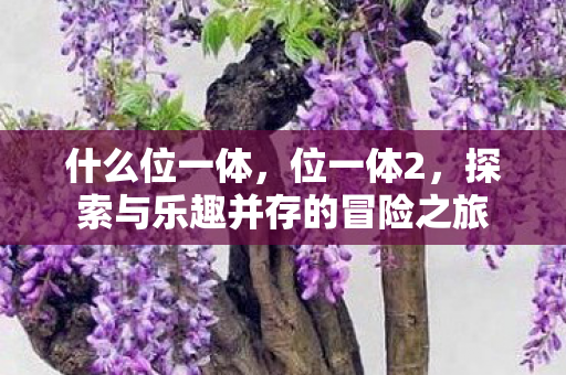 探索与乐趣并存的冒险之旅图片