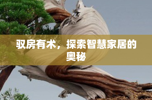 探索智慧家居的奥秘图片