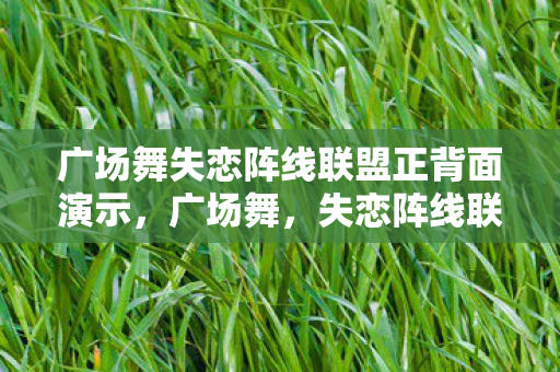 广场舞失恋阵线联盟正背面演示图片