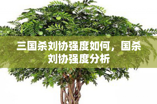 三国杀刘协强度如何图片