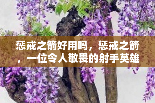 一位令人敬畏的射手英雄图片