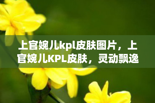 上官婉儿kpl皮肤图片图片