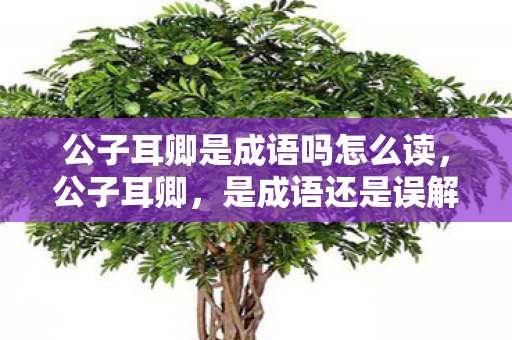 公子耳卿是成语吗怎么读，公子耳卿，是成语还是误解？