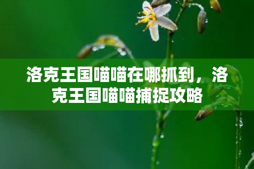 洛克王国喵喵在哪抓到图片