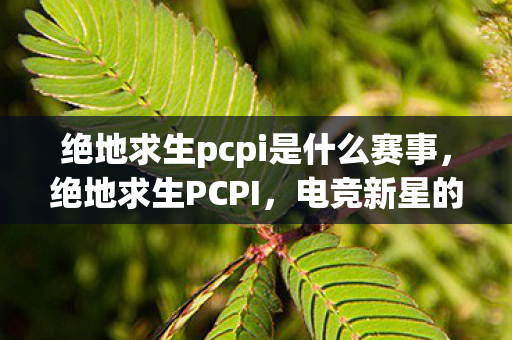 绝地求生pcpi是什么赛事图片