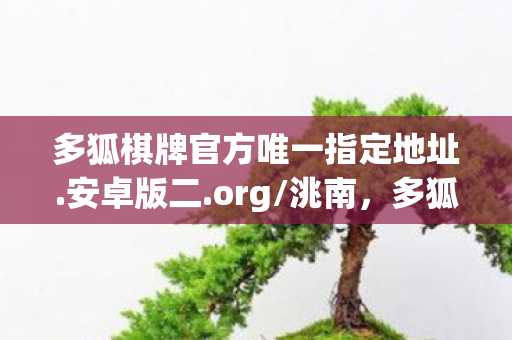 多狐棋牌官方唯一指定地址图片