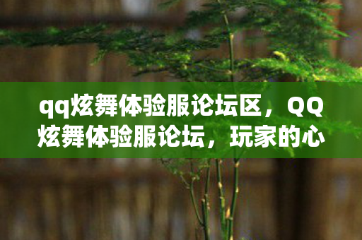 qq炫舞体验服论坛区，QQ炫舞体验服论坛，玩家的心声与交流平台