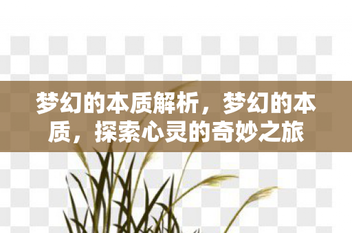 探索心灵的奇妙之旅图片