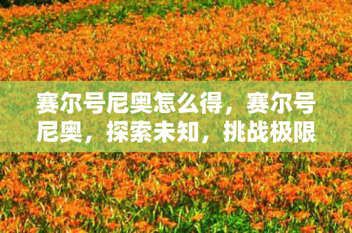 赛尔号尼奥怎么得图片