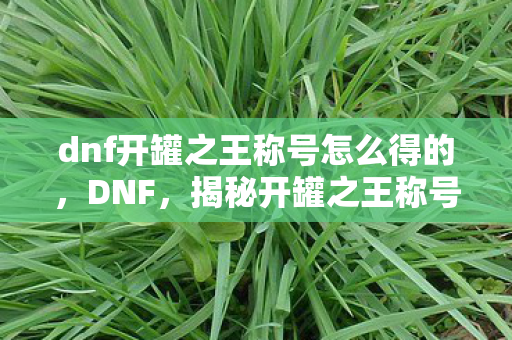 dnf开罐之王称号怎么得的图片