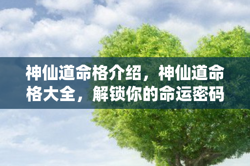 解锁你的命运密码图片