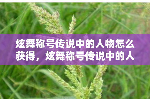 炫舞称号传说中的人物怎么获得，炫舞称号传说中的人物—舞界传奇的崛起与辉煌