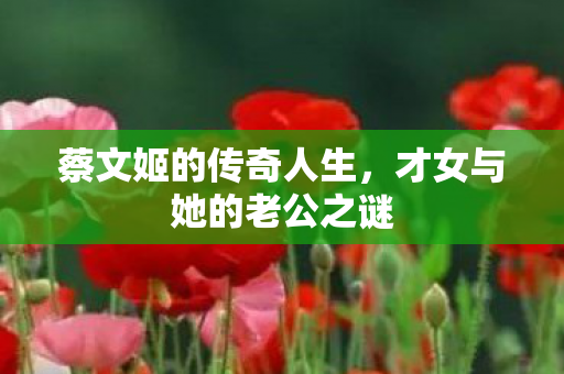 才女与她的老公之谜图片