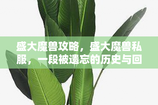 一段被遗忘的历史与回忆图片