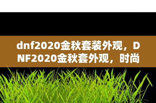 dnf2020金秋套装外观图片