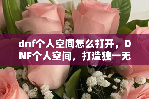 dnf个人空间怎么打开图片