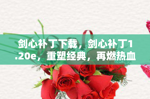 剑心补丁下载图片