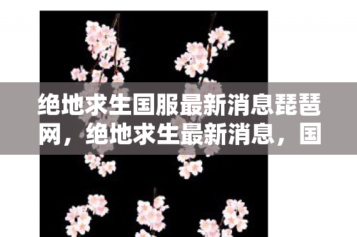 绝地求生国服最新消息琵琶网图片