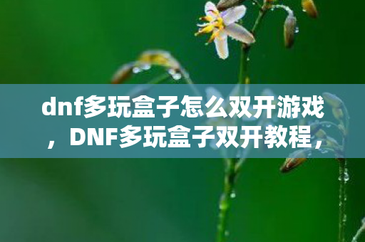 dnf多玩盒子怎么双开游戏图片