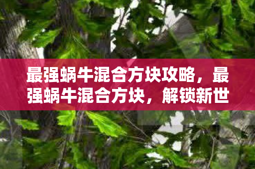 最强蜗牛混合方块攻略图片