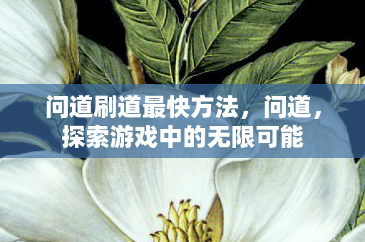 探索游戏中的无限可能图片