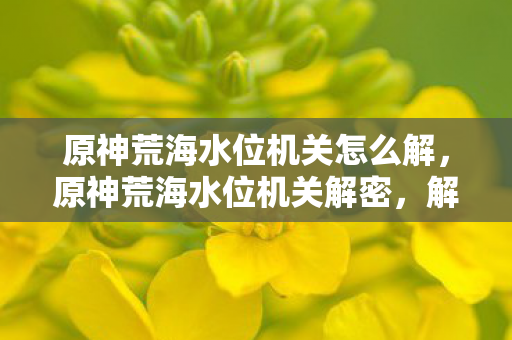 原神荒海水位机关怎么解图片