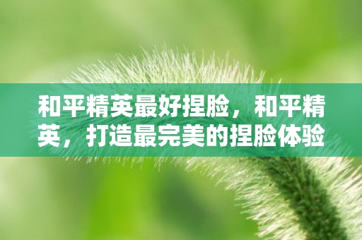 打造最完美的捏脸体验图片