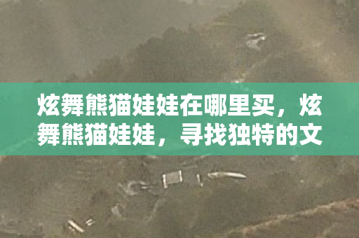 炫舞熊猫娃娃在哪里买，炫舞熊猫娃娃，寻找独特的文化魅力与乐趣