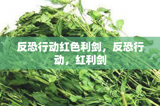 反恐行动红色利剑图片