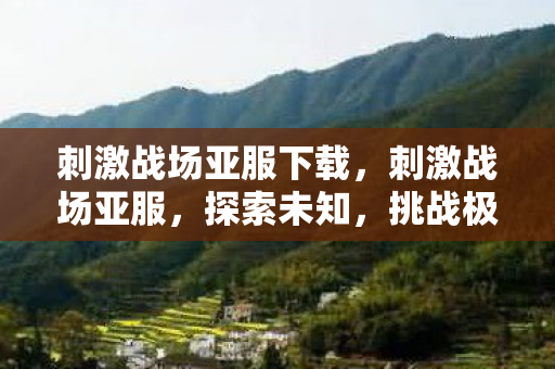 刺激战场亚服下载图片