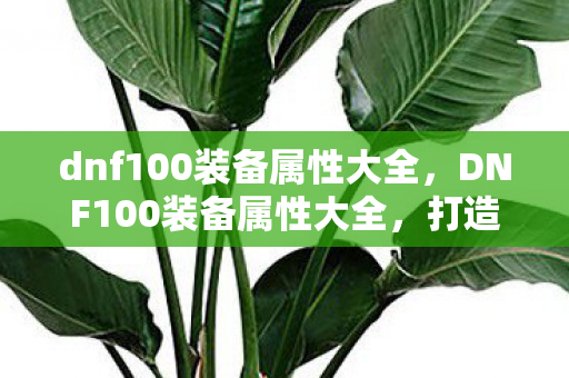 dnf100装备属性大全图片