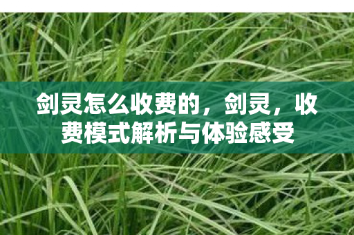 收费模式解析与体验感受图片