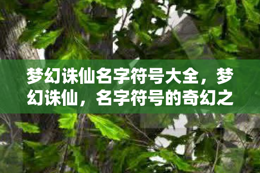 梦幻诛仙名字符号大全图片