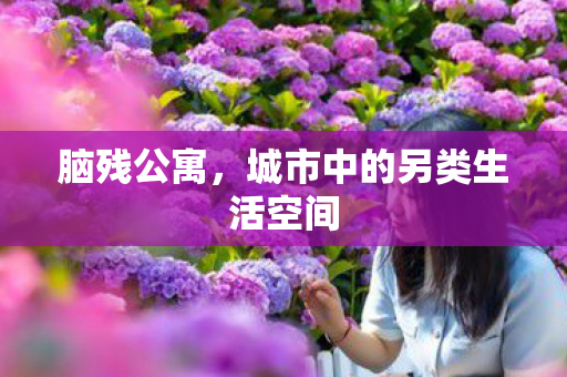 城市中的另类生活空间图片