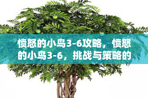 挑战与策略的深度解析图片