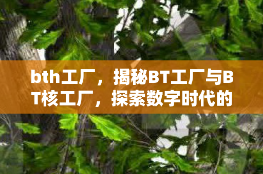 揭秘BT工厂与BT核工厂图片