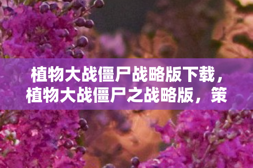 植物大战僵尸战略版下载图片