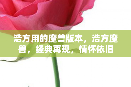 浩方用的魔兽版本图片