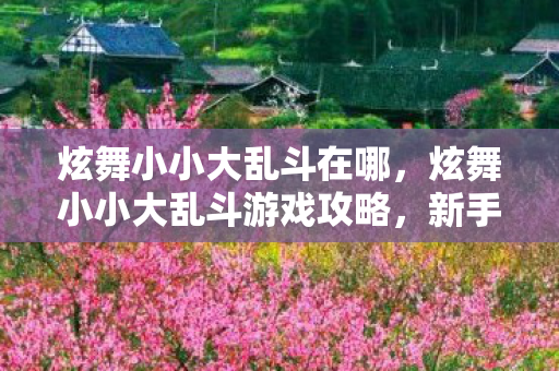 炫舞小小大乱斗在哪，炫舞小小大乱斗游戏攻略，新手入门指南