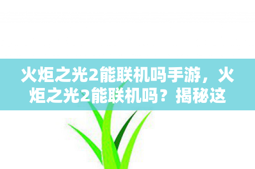 揭秘这款经典游戏的联机功能图片