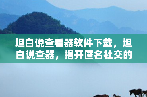 揭开匿名社交的神秘面纱图片