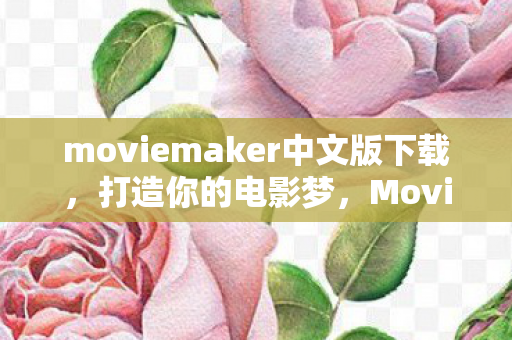 Movie Maker中文版全解析图片