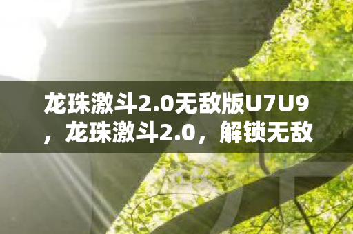 0无敌版U7U9图片